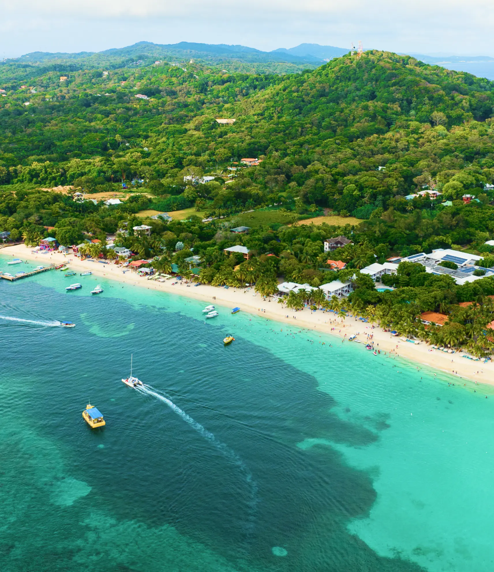 Caribbean shoreline